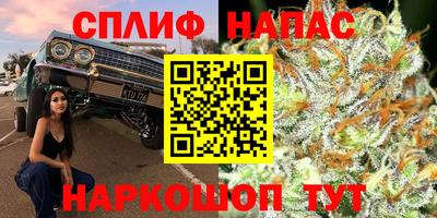 гашик Дубна