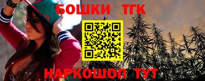 гашик Дубна