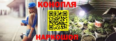 гашик Дубна