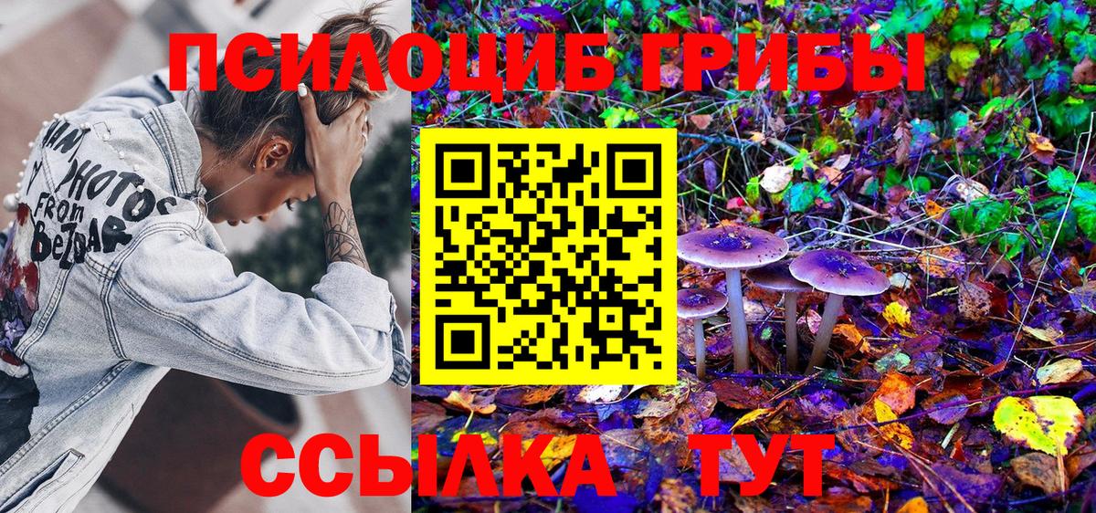Галлюциногенные грибы Psilocybe  Вход с VPN  Нурлат 